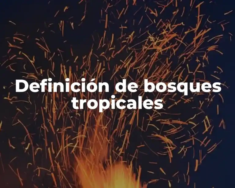 Definición de bosques tropicales