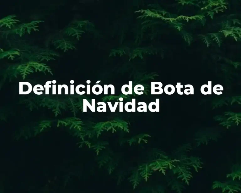 Definición de Bota de Navidad