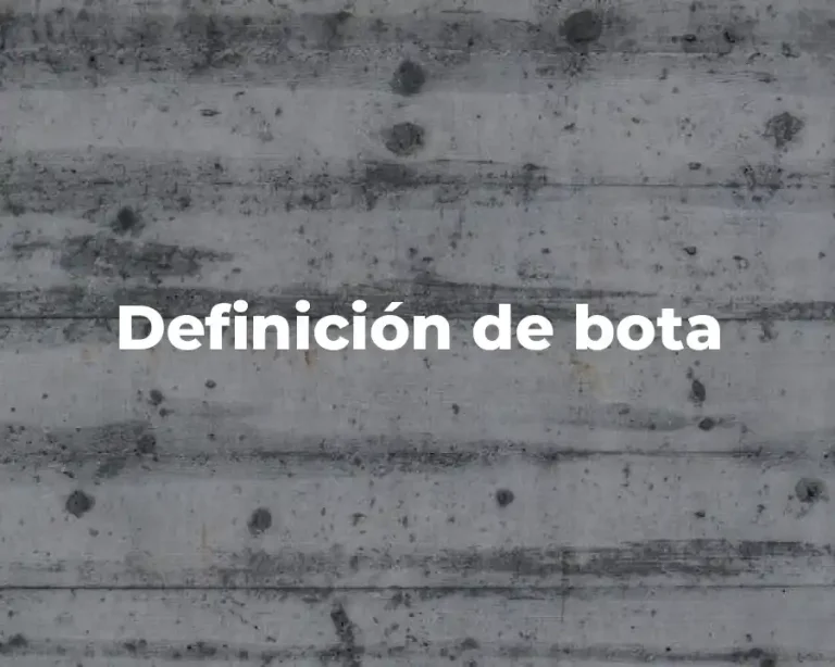 Definición de bota
