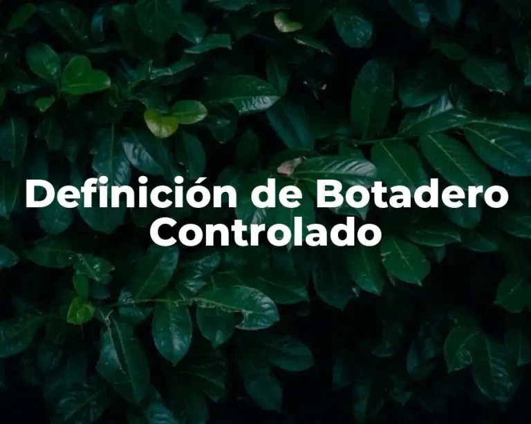 Definición de Botadero Controlado