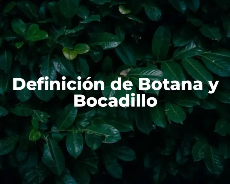 Definición de Botana y Bocadillo