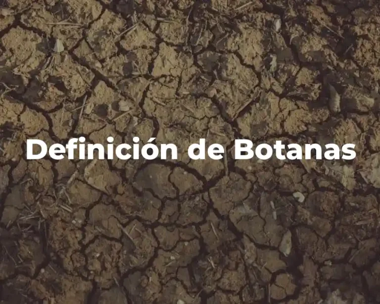 Definición de Botanas