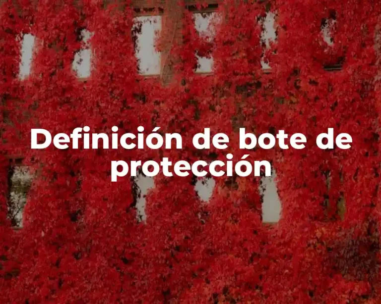 Definición de bote de protección