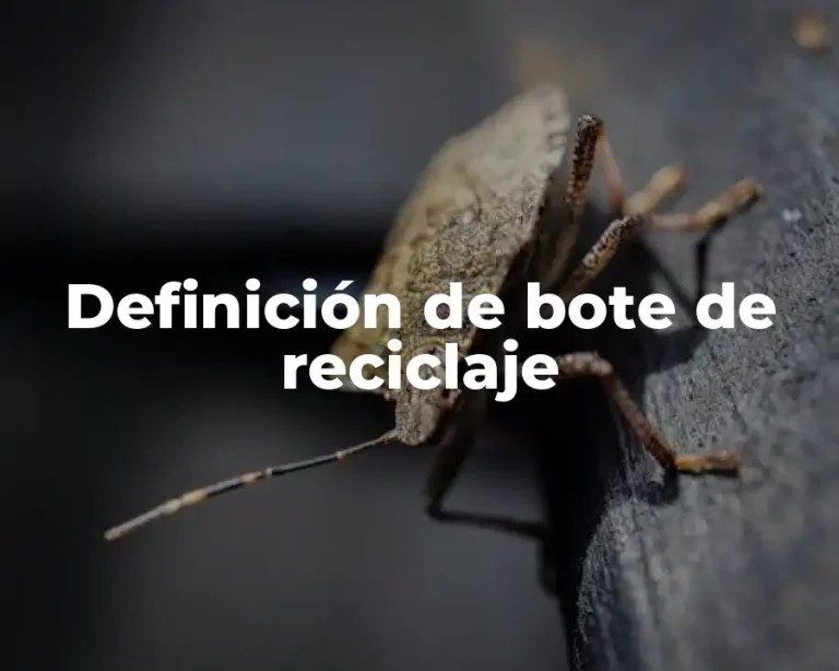 Definición de bote de reciclaje