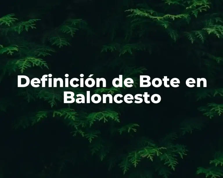 Definición de Bote en Baloncesto