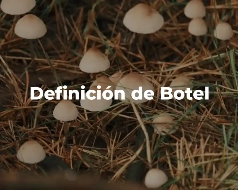 Definición de Botel