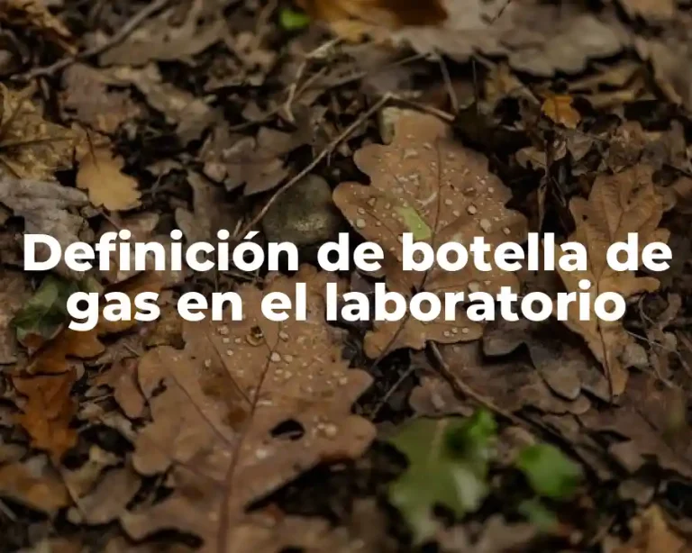 Definición de botella de gas en el laboratorio