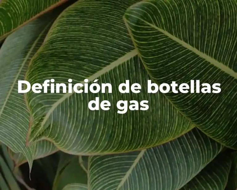 Definición de botellas de gas