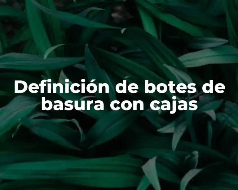 Definición de botes de basura con cajas