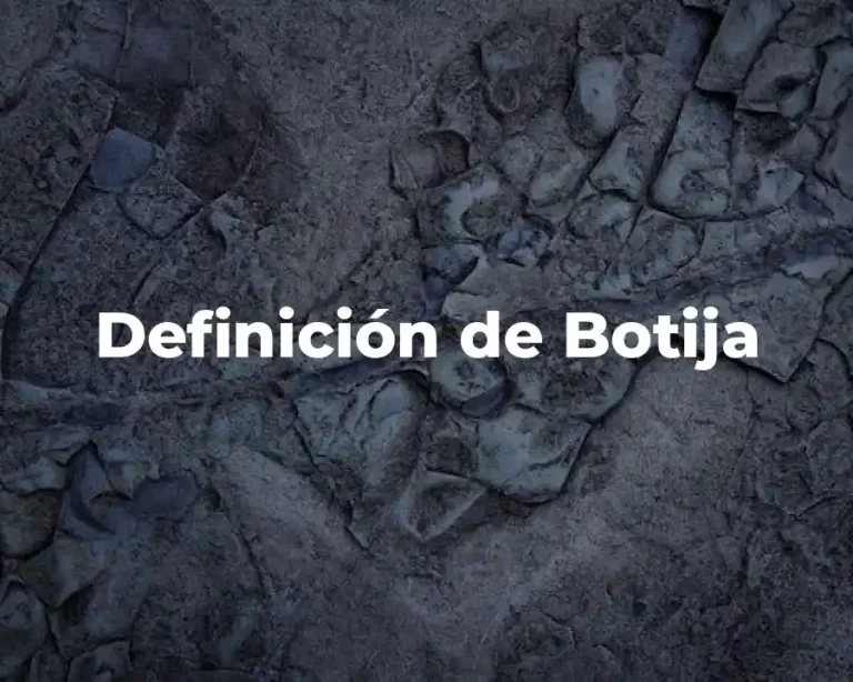 Definición de Botija