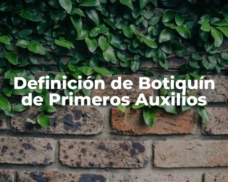 Definición de Botiquín de Primeros Auxilios