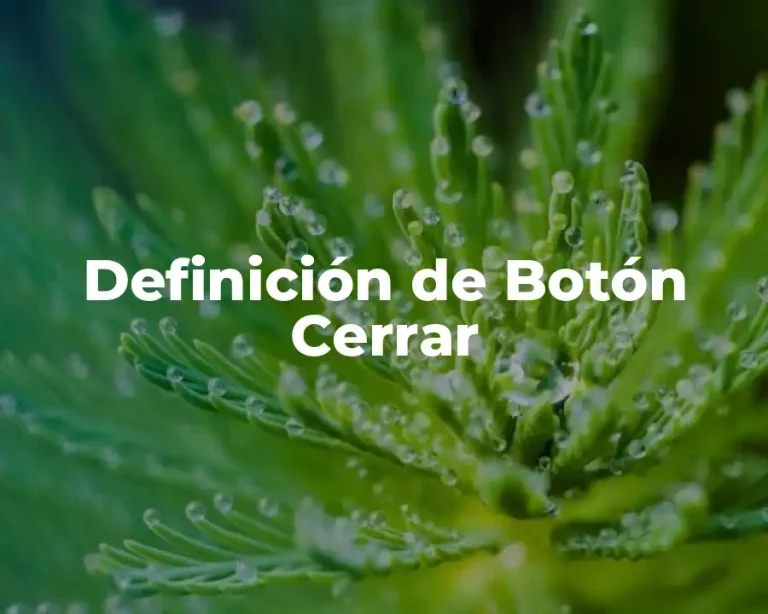 Definición de Botón Cerrar