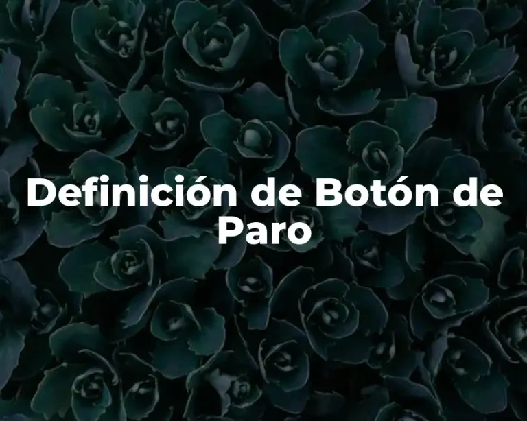 Definición de Botón de Paro
