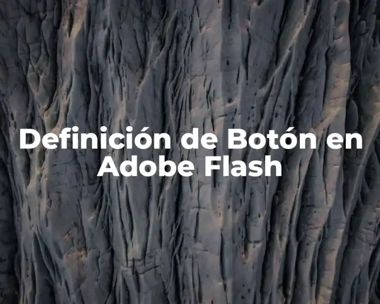 Definición de Botón en Adobe Flash