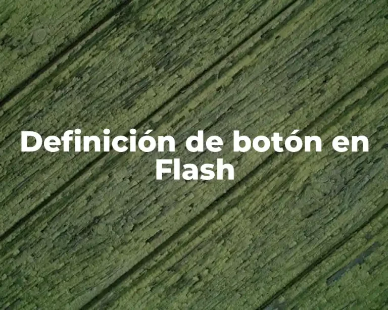 Definición de botón en Flash
