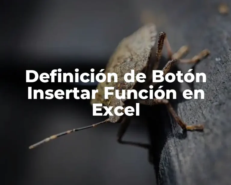 Definición de Botón Insertar Función en Excel