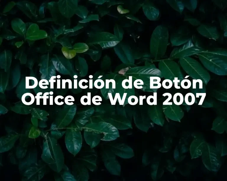 Definición de Botón Office de Word 2007