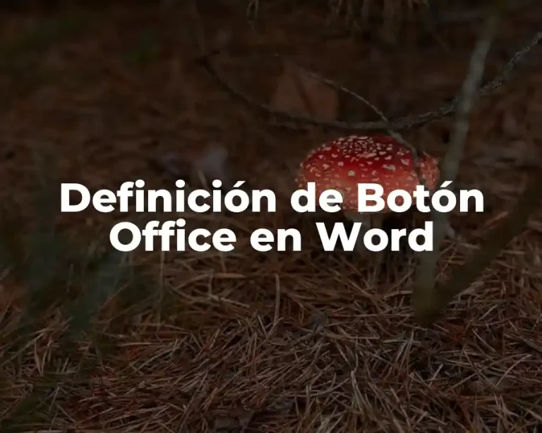 Definición de Botón Office en Word