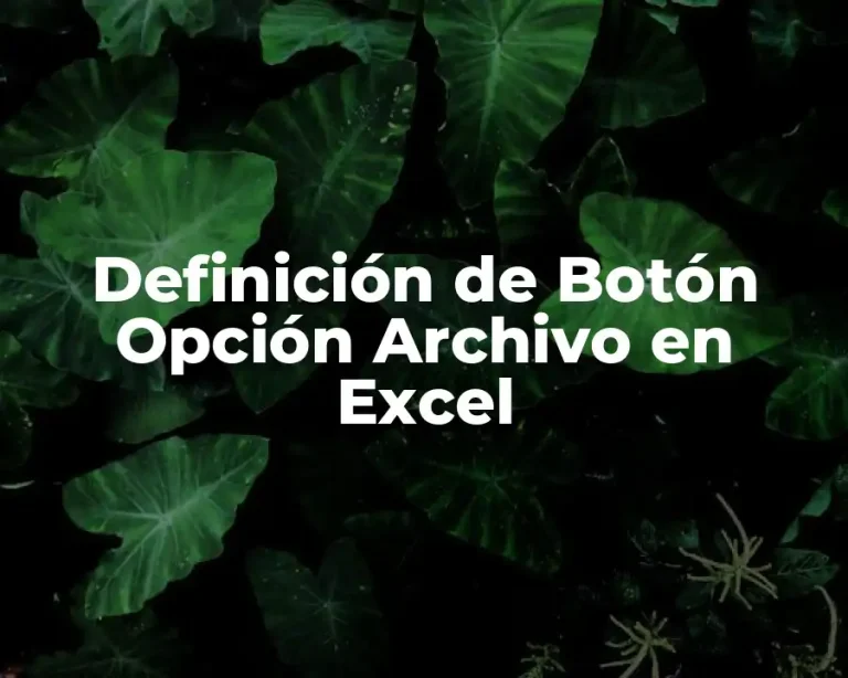 Definición de Botón Opción Archivo en Excel