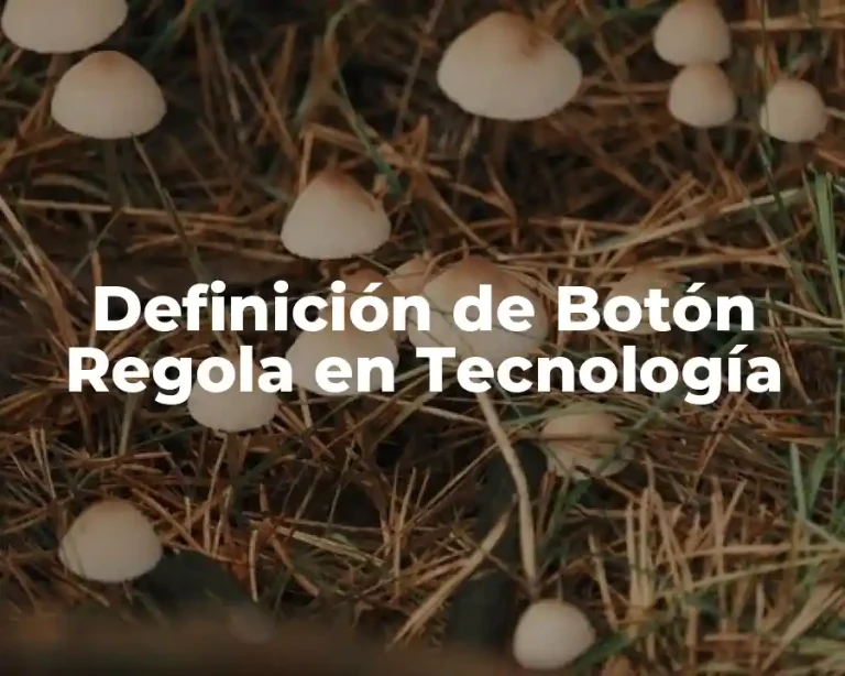 Definición de Botón Regola en Tecnología