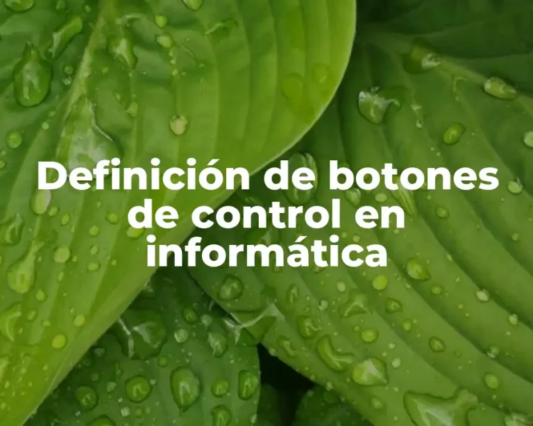 Definición de botones de control en informática