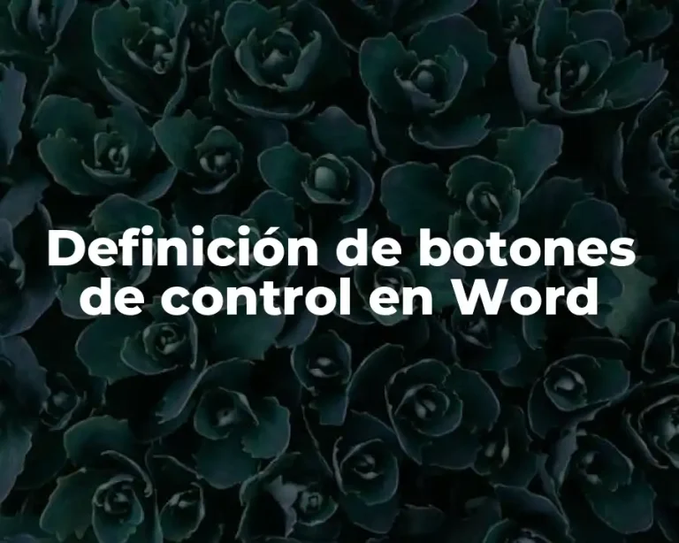 Definición de botones de control en Word