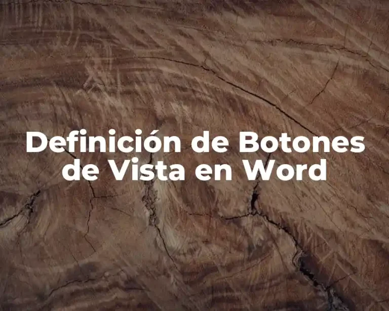 Definición de Botones de Vista en Word