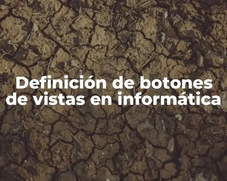 Definición de botones de vistas en informática