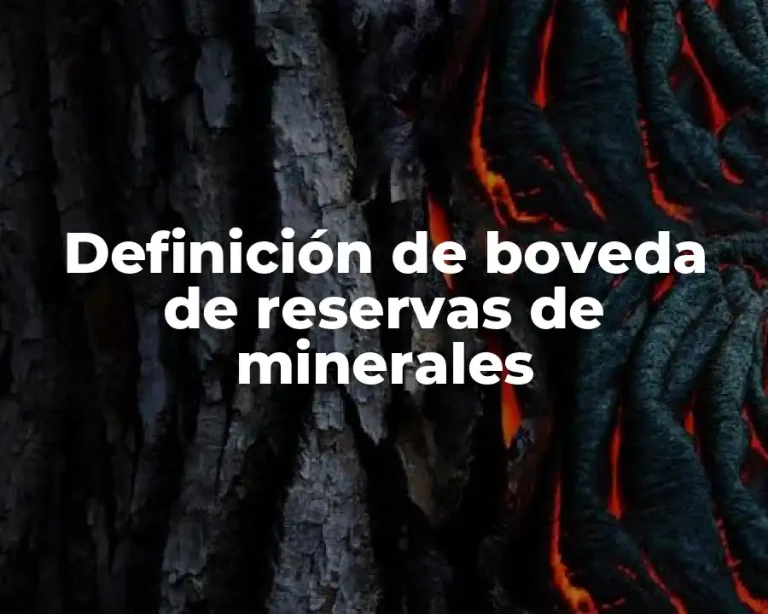Definición de boveda de reservas de minerales
