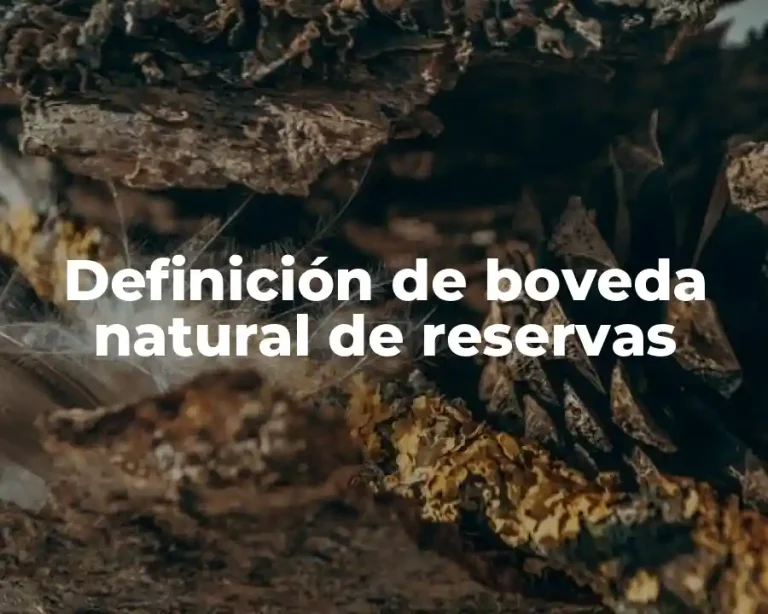 Definición de boveda natural de reservas