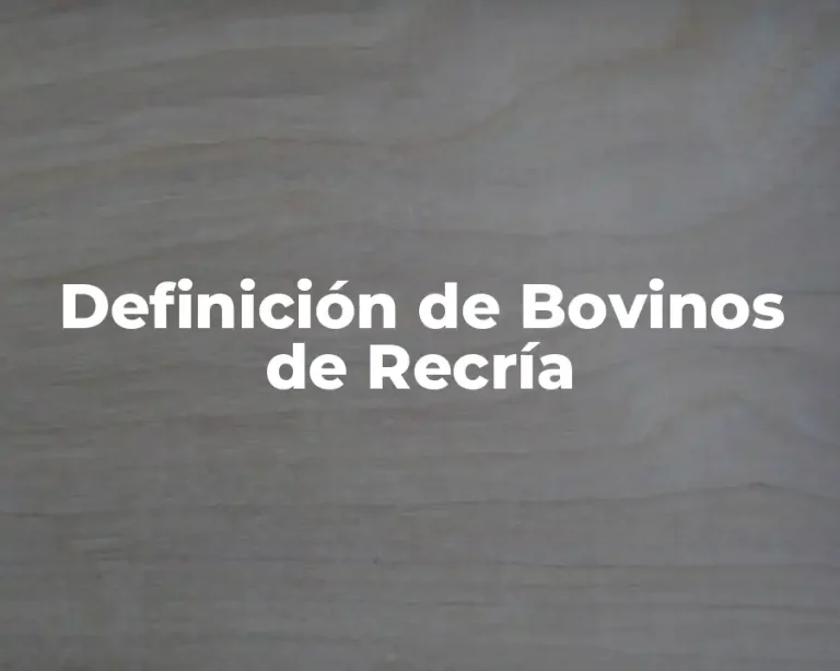 Definición de Bovinos de Recría