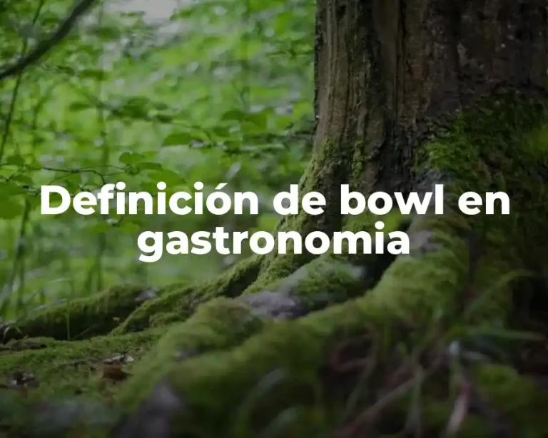 Definición de bowl en gastronomia