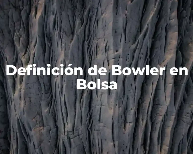 Definición de Bowler en Bolsa