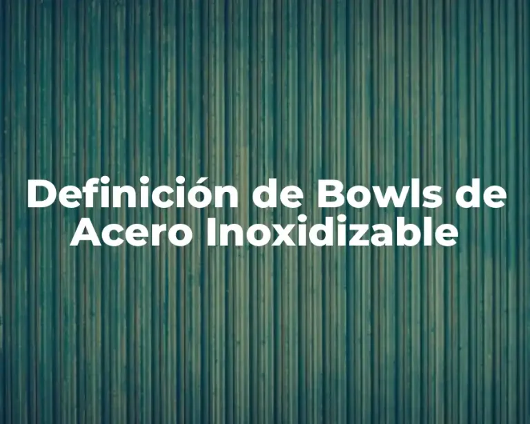 Definición de Bowls de Acero Inoxidizable