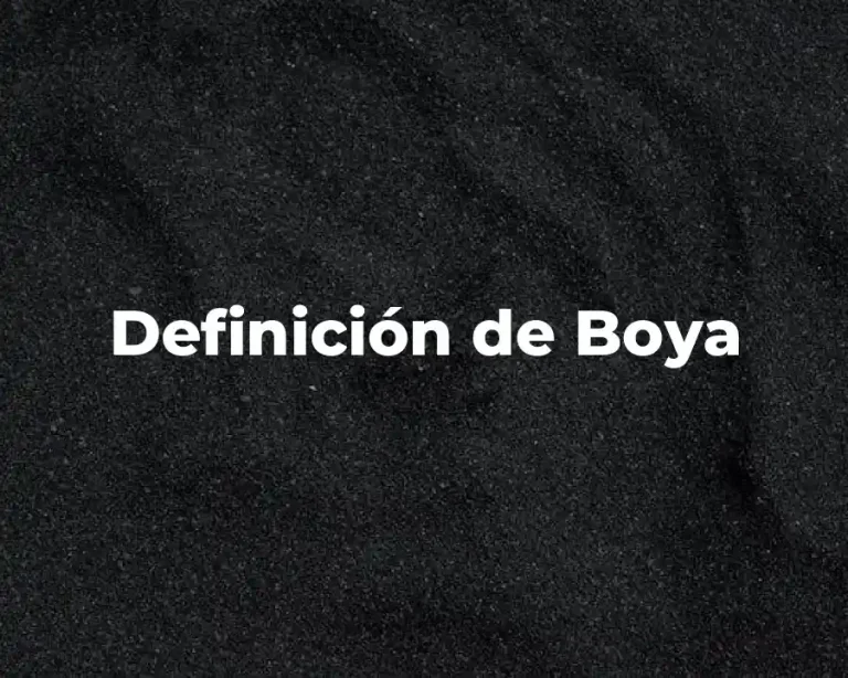 Definición de Boya