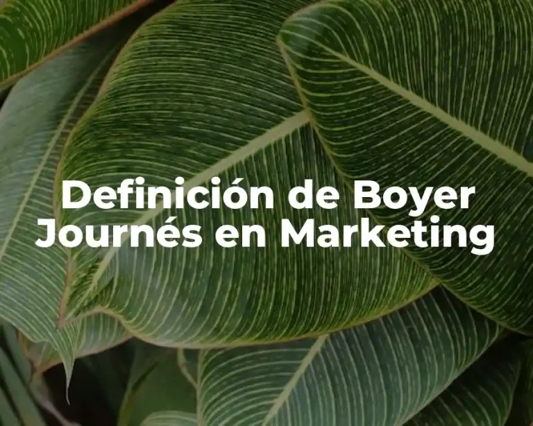 Definición de Boyer Journés en Marketing