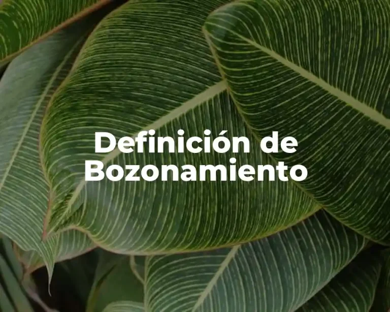 Definición de Bozonamiento