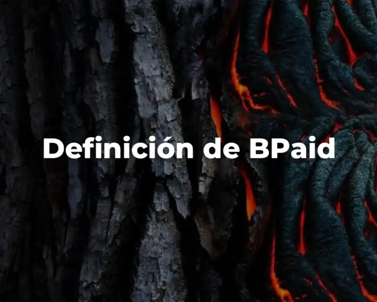 Definición de BPaid