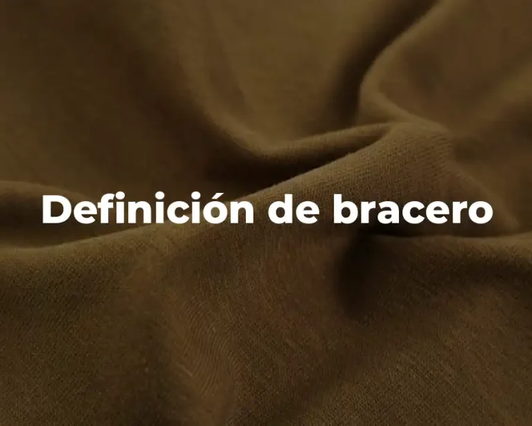 Definición de bracero