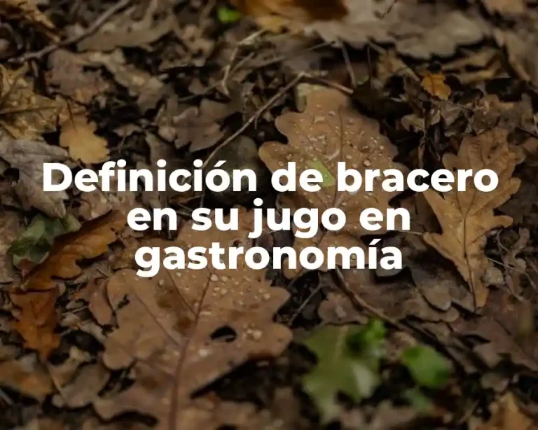Definición de bracero en su jugo en gastronomía