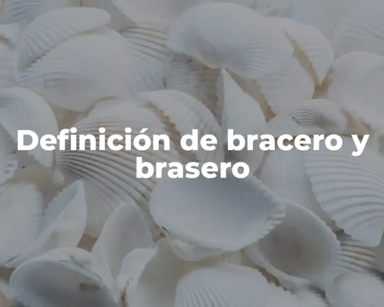 Definición de bracero y brasero