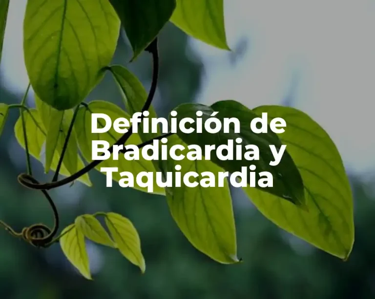 Definición de Bradicardia y Taquicardia