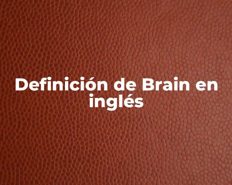 Definición de Brain en inglés