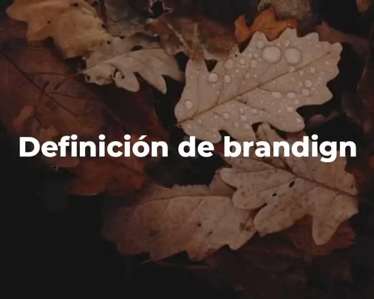 Definición de brandign