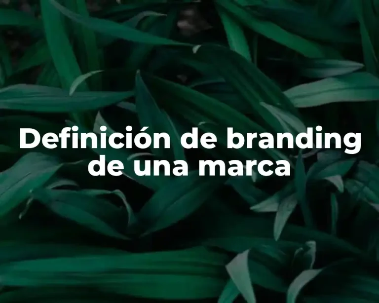Definición de branding de una marca