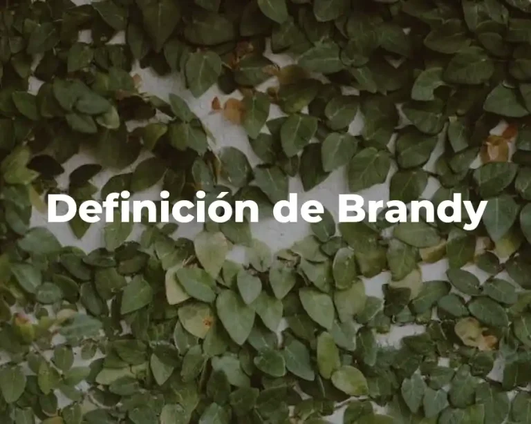 Definición de Brandy