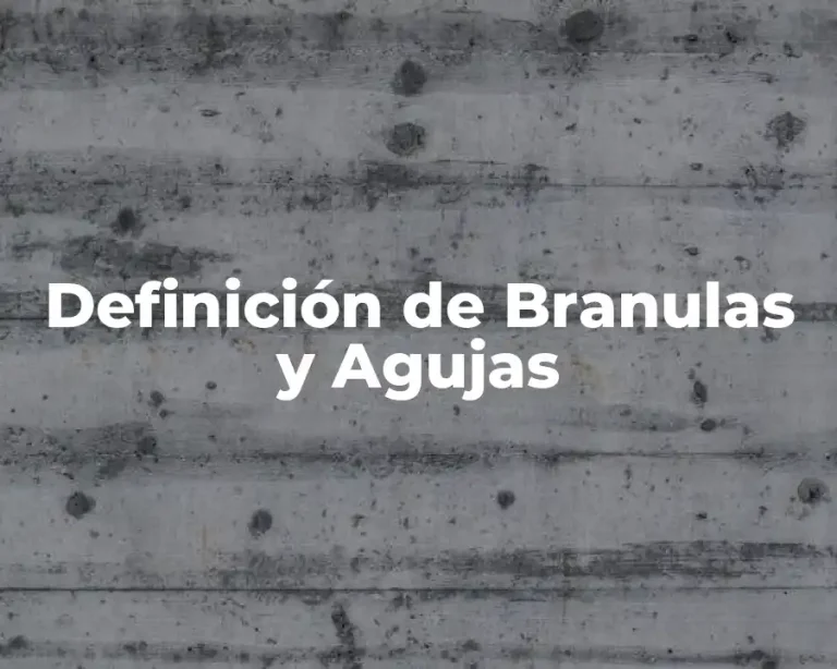 Definición de Branulas y Agujas