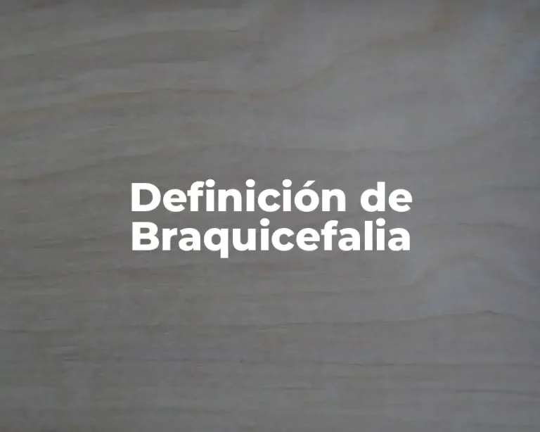 Definición de Braquicefalia
