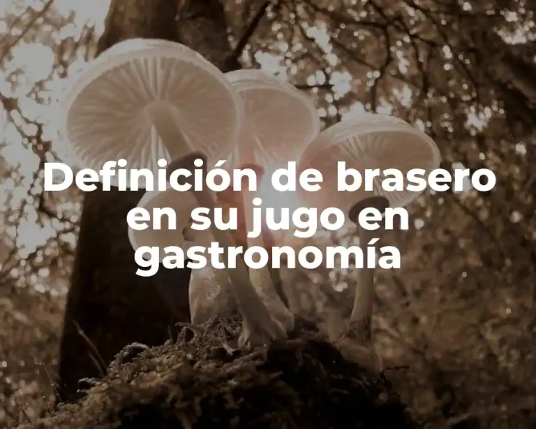 Definición de brasero en su jugo en gastronomía
