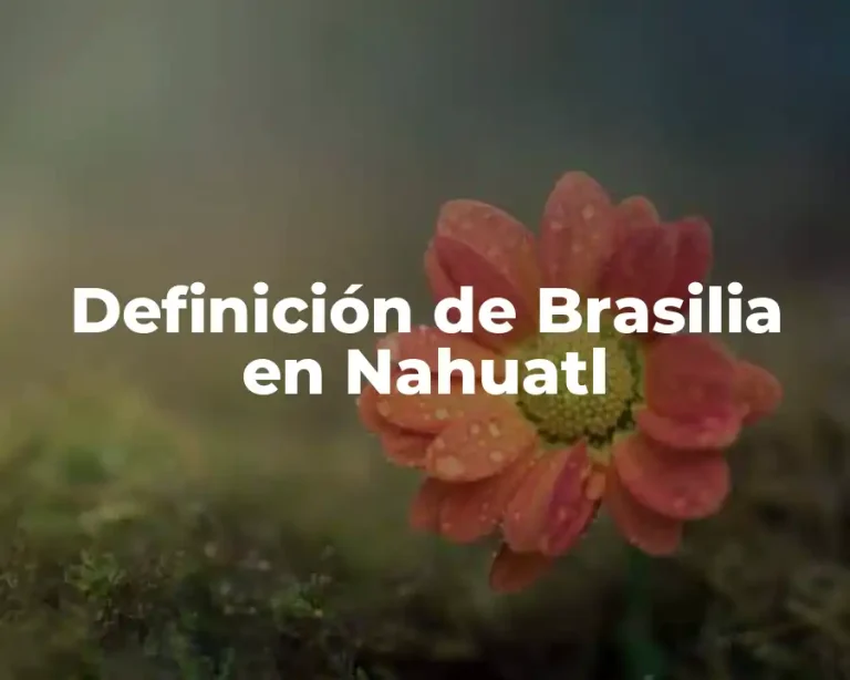 Definición de Brasilia en Nahuatl